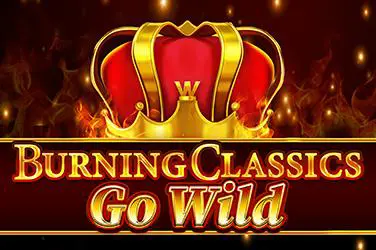 Burning Classics Go Wild - Spin City - Congo